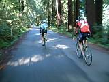 pt_reyes_ride_10.jpg